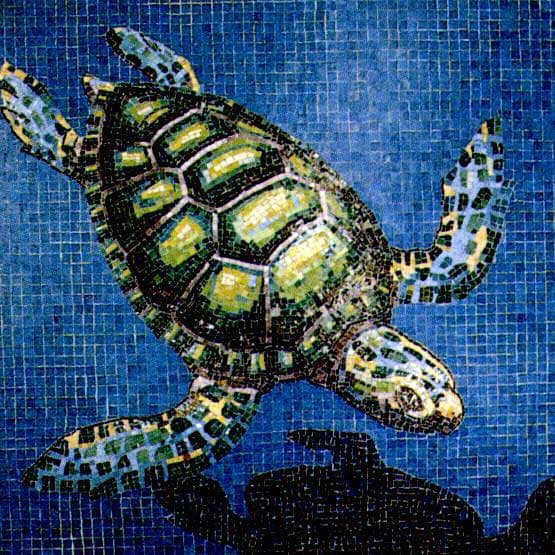 Turtle pool mosaics